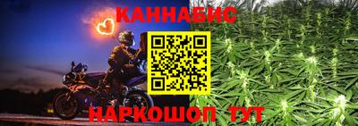 шишки Абинск